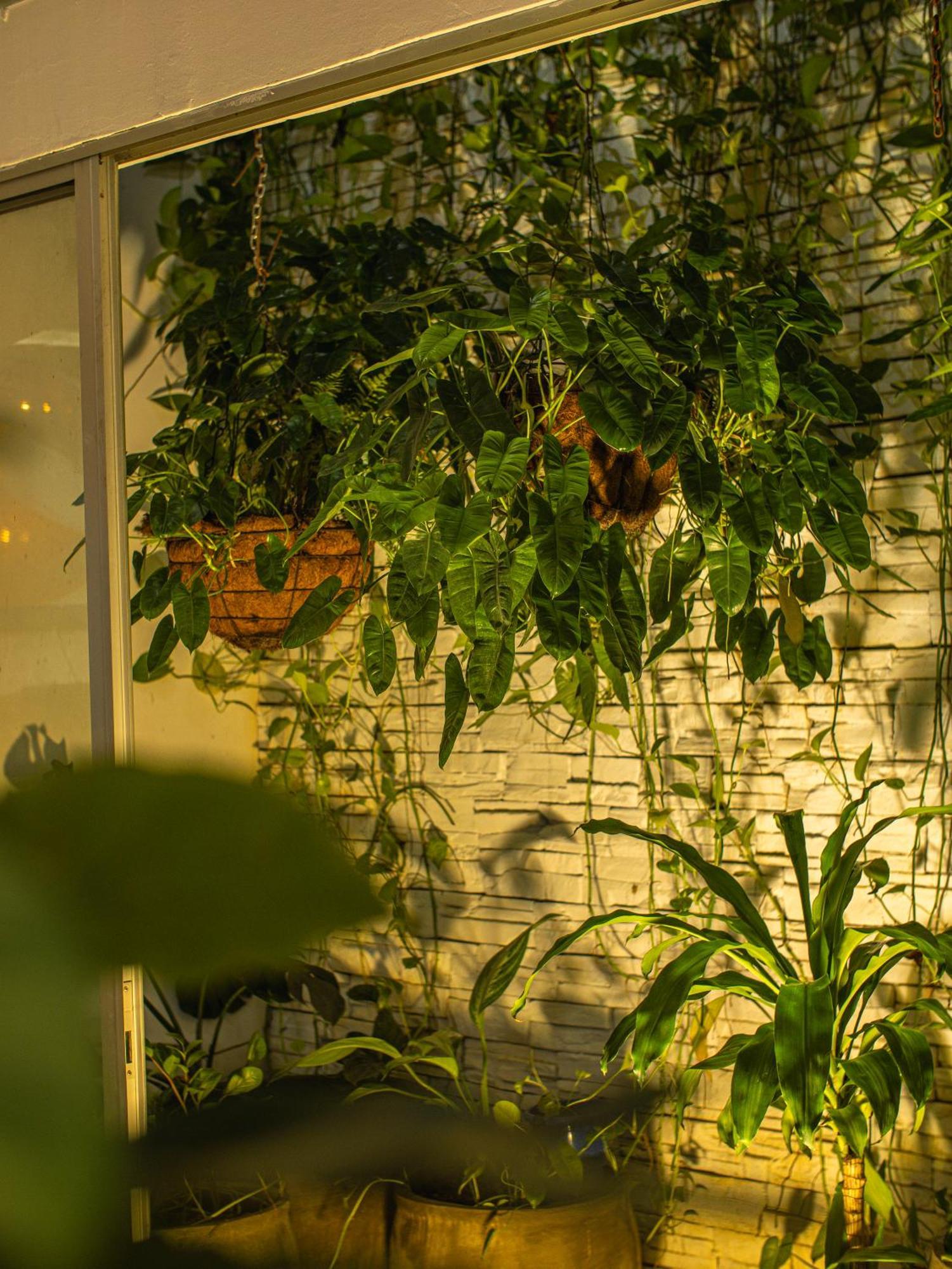 Hotel Centro Monteria Ngoại thất bức ảnh